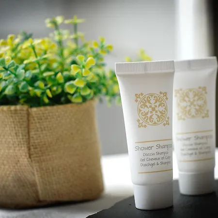 Domus Castroni Pompeo Magno 4* Roma